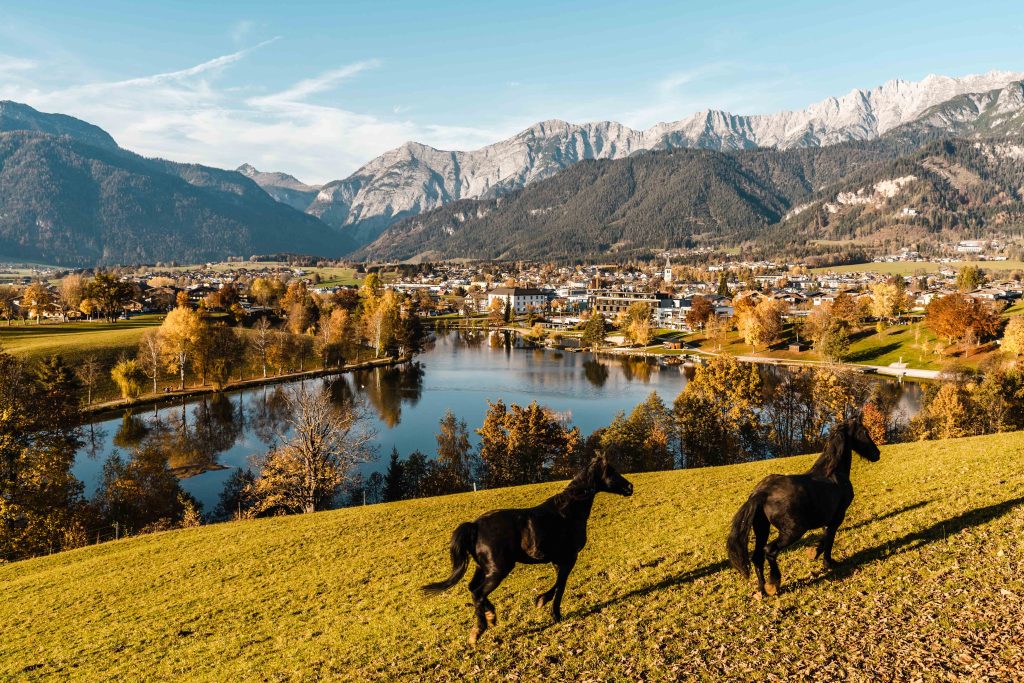Herbst2019_Ritzensee_19_MichaelGeißler